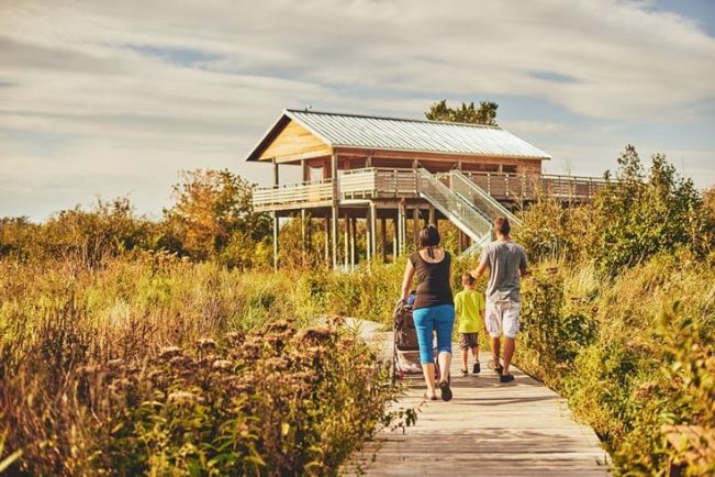 domaine-du-parc-taschereau, famille qui marche sur un trottoir de bois