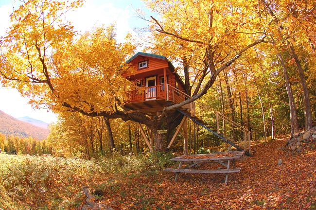 Au Diable Vert, cabane dans les arbres