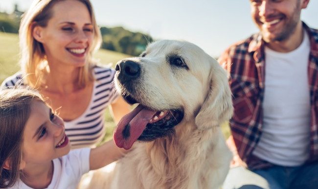 famille avec chien