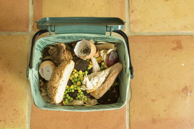 Gaspillage alimentaire: évitez de jeter votre argent à la poubelle!