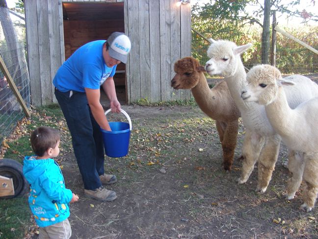 4 fermes à découvrir en famille