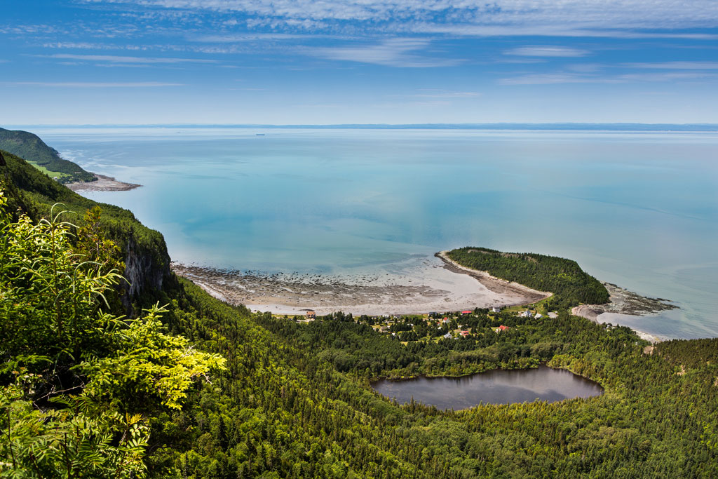 parc national bic accepte chien 