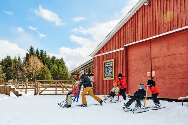 trottinettes des neiges famille hiver