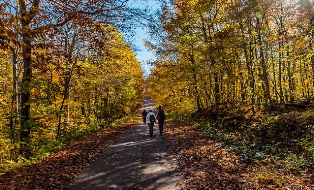tourisme laurentides