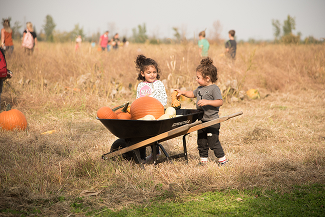 7 activités en famille pour prolonger l’été