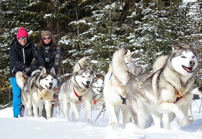 Tourisme Laurentides