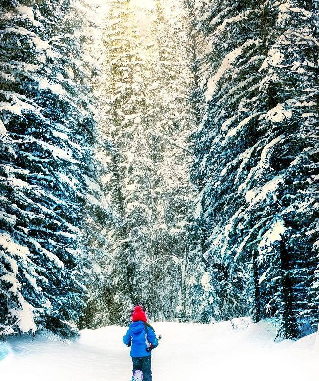 Raquettes à neige: tout ce qu’il faut savoir pour pratiquer en famille