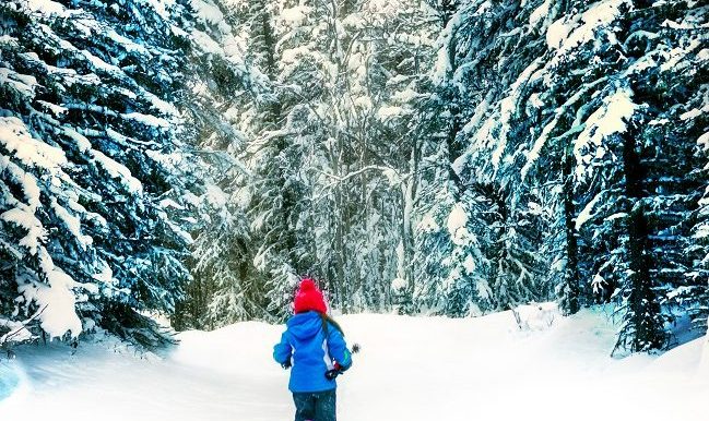 Raquettes-a-neige-vifa-magazine