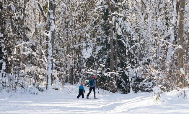 Ski de fond: petit guide pour pratiquer ce sport en famille