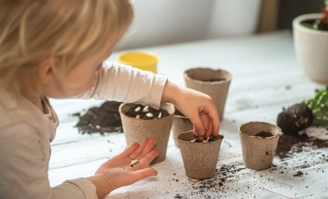Potager-et-jardin-vifa-magazine