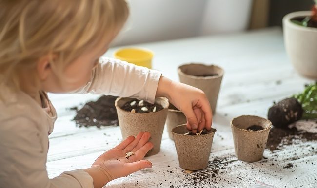 Potager-et-jardin-vifa-magazine