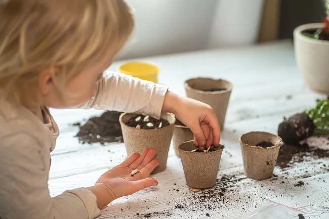 Potager-et-jardin-vifa-magazine