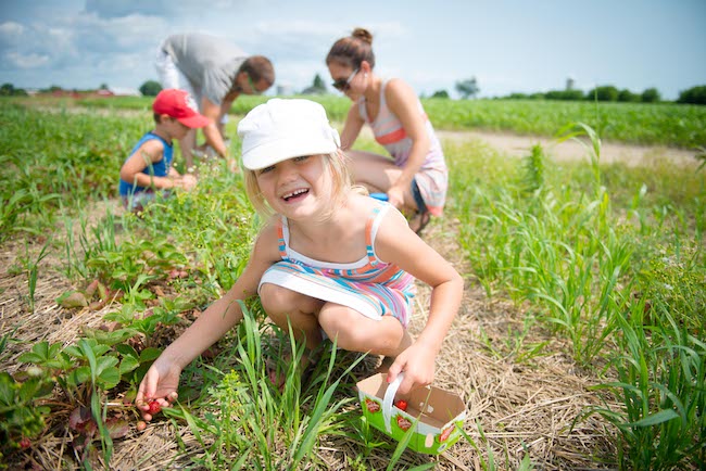 Quoi faire dans lanaudiere