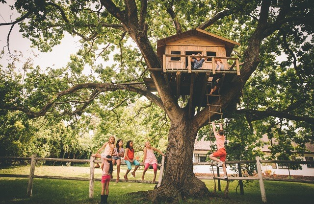 Cabanes dans les arbres : 16 endroits à découvrir en famille