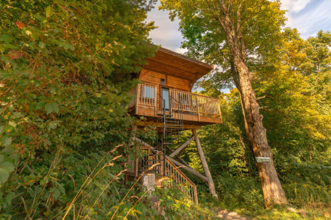 cabane dans les arbres