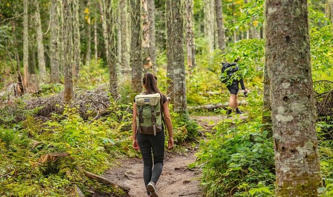 Sans trace en randonnee pédestre : comment profiter de la nature sans l’abîmer