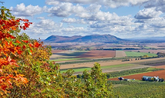 Automne_monterégie