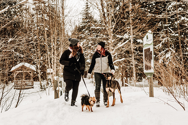 2 femmes marchant dans la foêt de leurs chiens