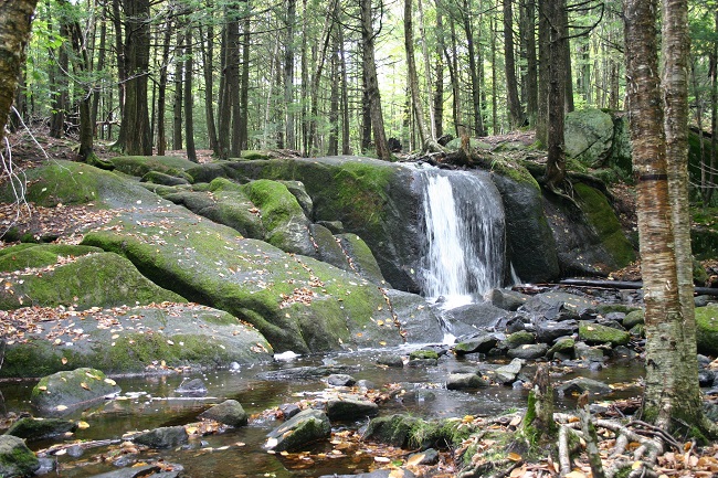 source dans la foret