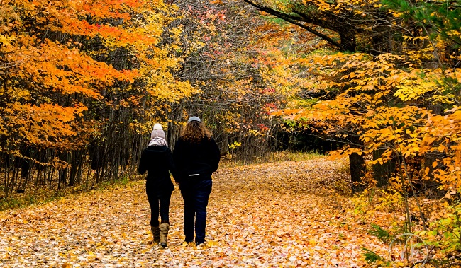 marcheurs dans un sentier l'automne