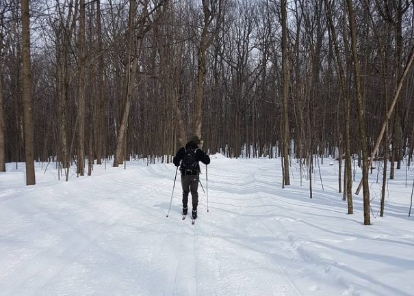 Activités gratuites à faire pendant le temps des Fêtes